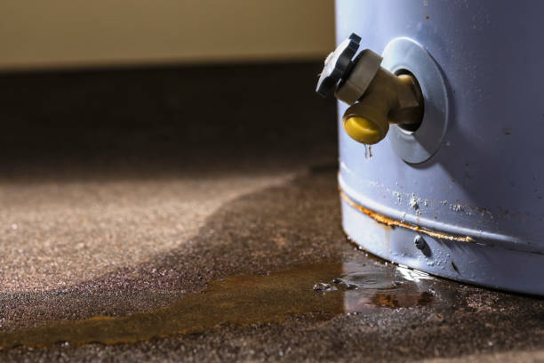 Best Mold removal after water damage  in Glenrock, WY