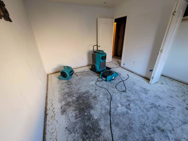 Best Carpet water damage restoration  in Glenrock, WY