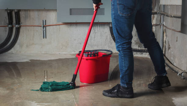 Best Water damage cleanup near me  in Glenrock, WY