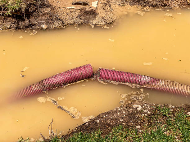 Trusted Glenrock, WY Water damage restoration Experts